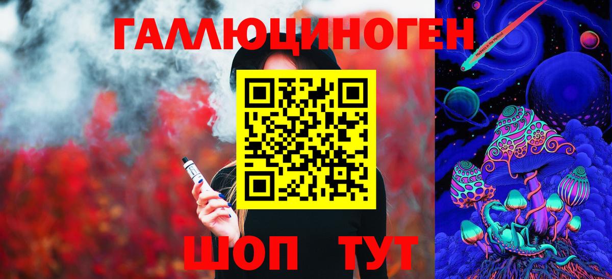 Псилоцибиновые грибы Psilocybe Электрогорск